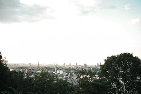 Quels sont les meilleurs spots pour observer les oiseaux migrateurs en Afrique du Sud?