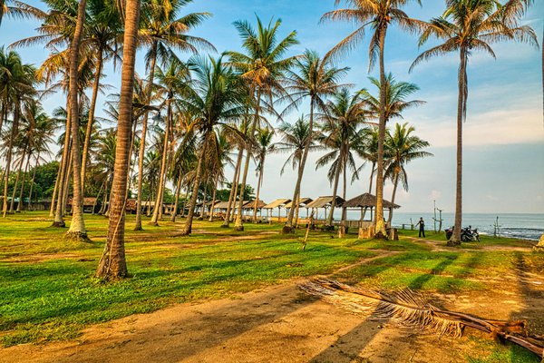 Quelles croisières offrent des excursions pour découvrir les rizières en terrasses en Chine?